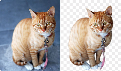 Watermark removal example