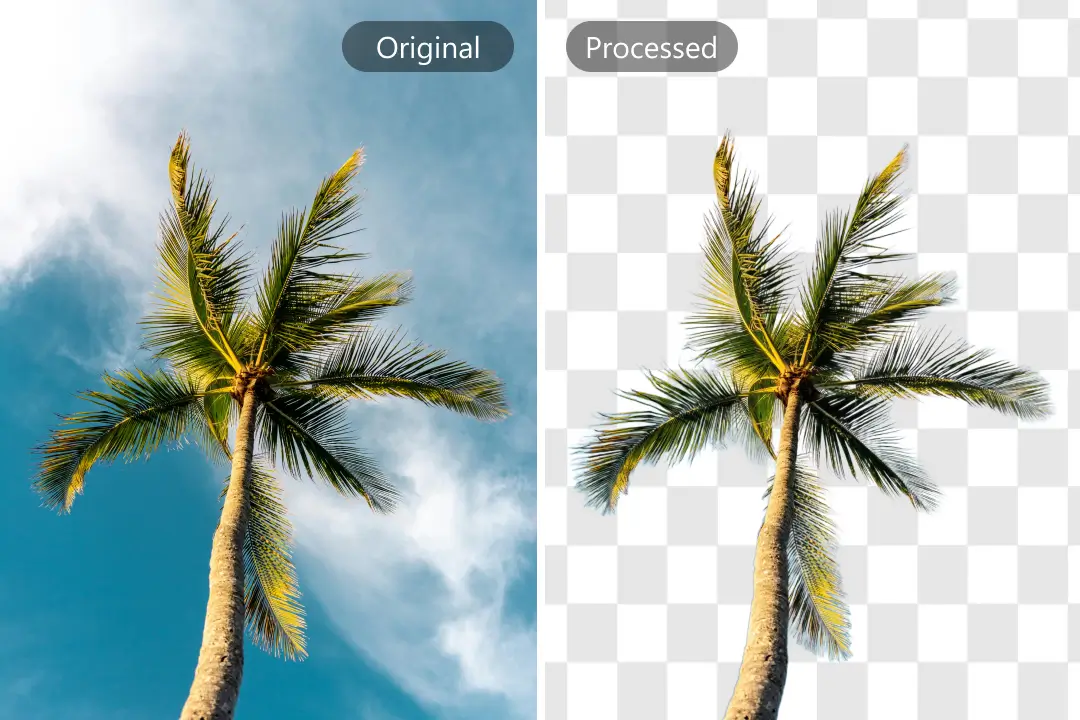 Remove multiple watermarks example